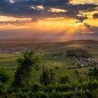 Abendstimmung am Kaiserstuhl 