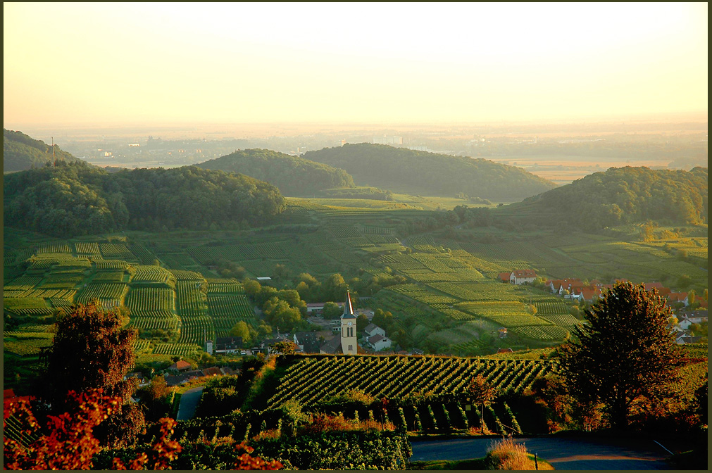 " Abendstimmung am Kaiserstuhl "