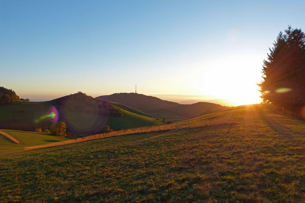 Abendstimmung am Kaiserstuhl