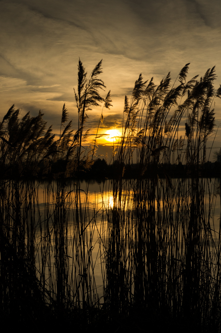 Abendstimmung am Kanal