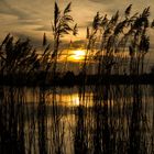 Abendstimmung am Kanal