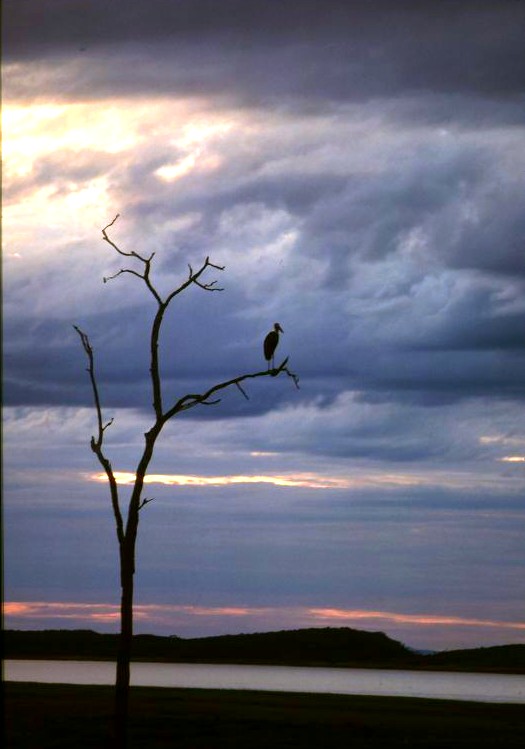 Abendstimmung am Kariba-Stausee