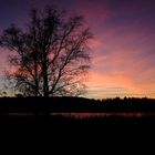 Abendstimmung am Katzensee