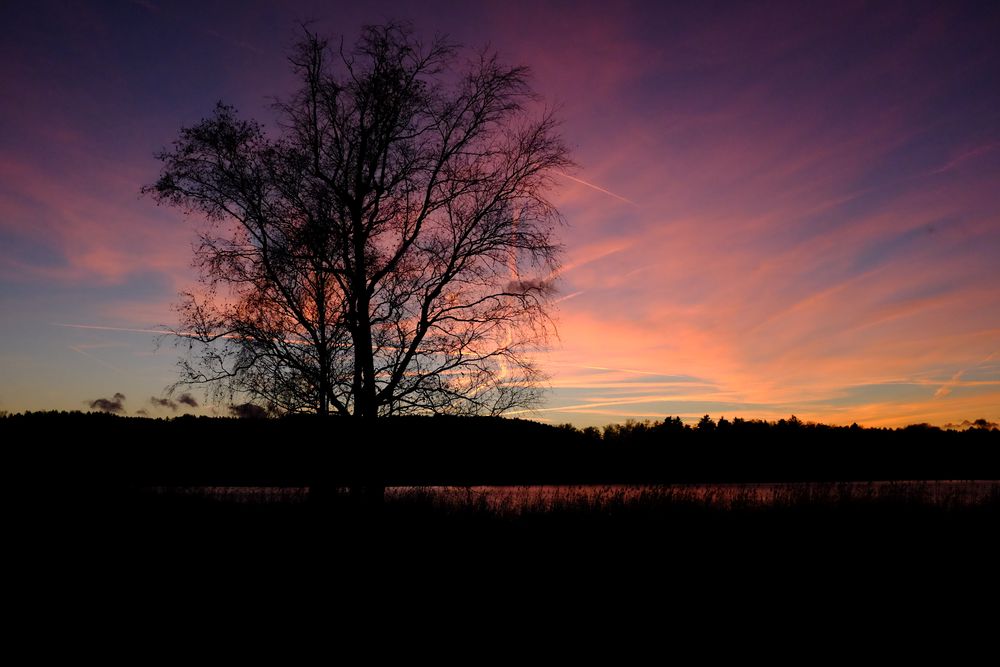 Abendstimmung am Katzensee