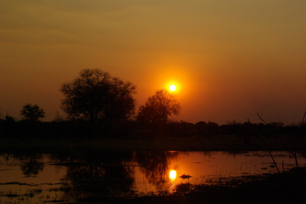 Abendstimmung am Khwai River