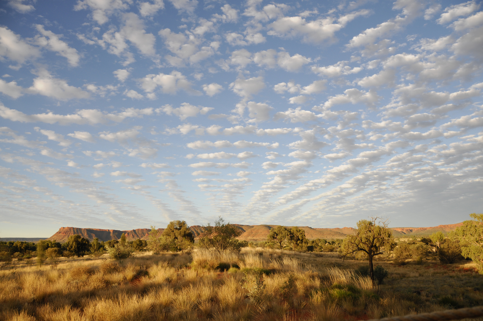 Abendstimmung am Kings Canyon