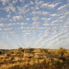 Abendstimmung am Kings Canyon