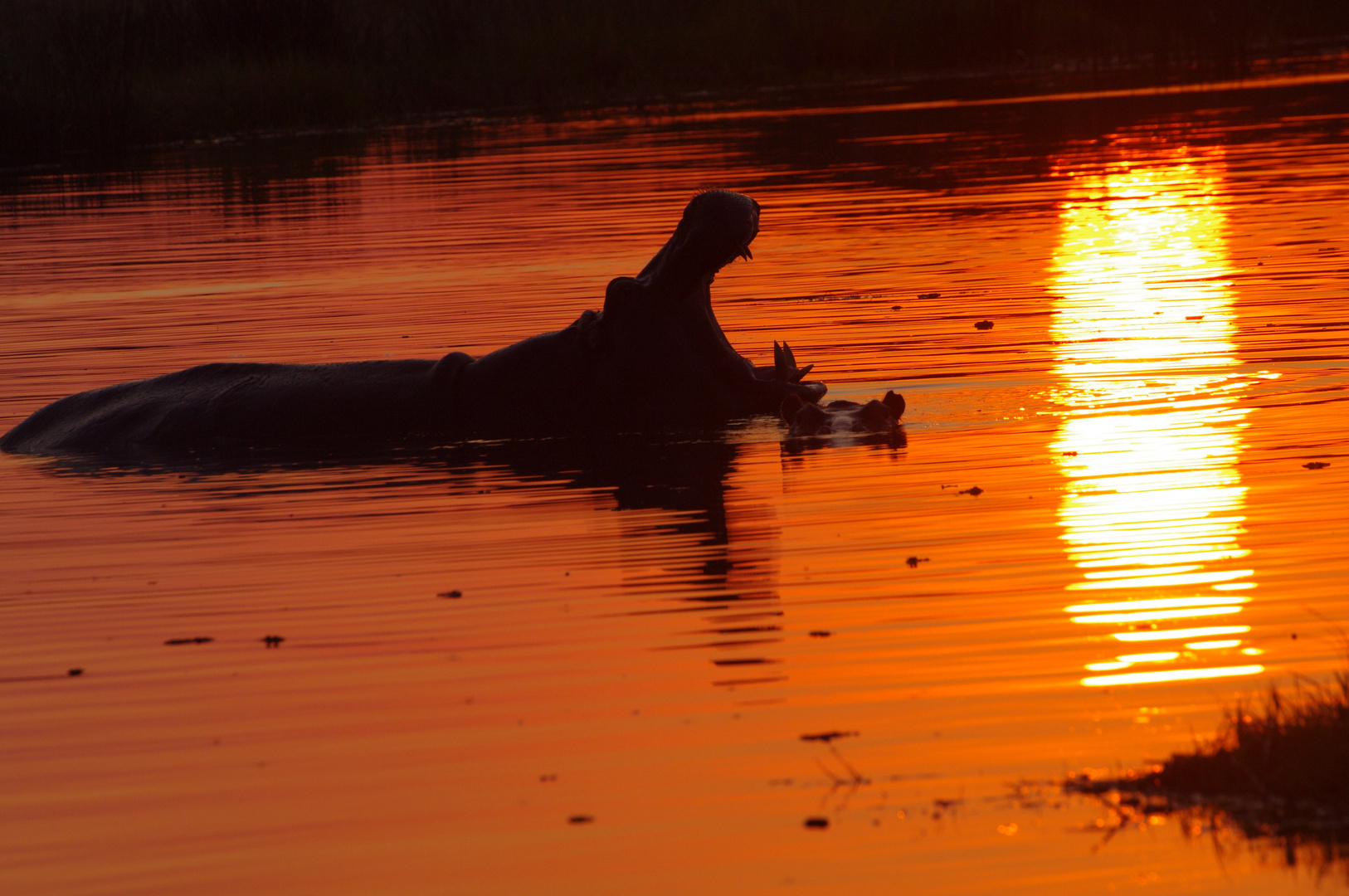 Abendstimmung am Kkwai River/Botswana