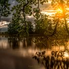 Abendstimmung am kleinen See