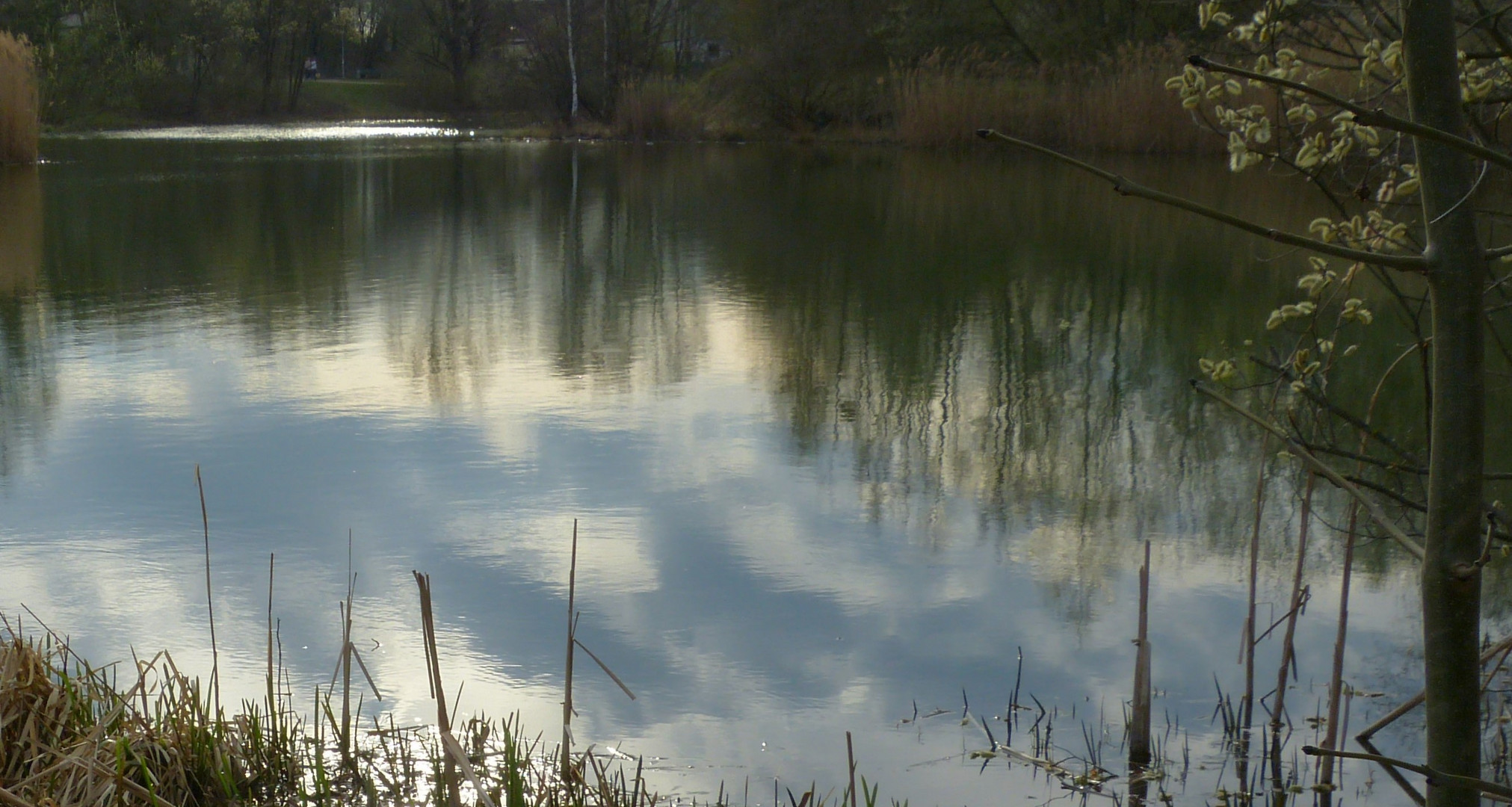 Abendstimmung am kleinen Weiher