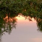 Abendstimmung am kleinen Weiher