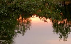 Abendstimmung am kleinen Weiher