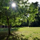 Abendstimmung am Kloster Chorin