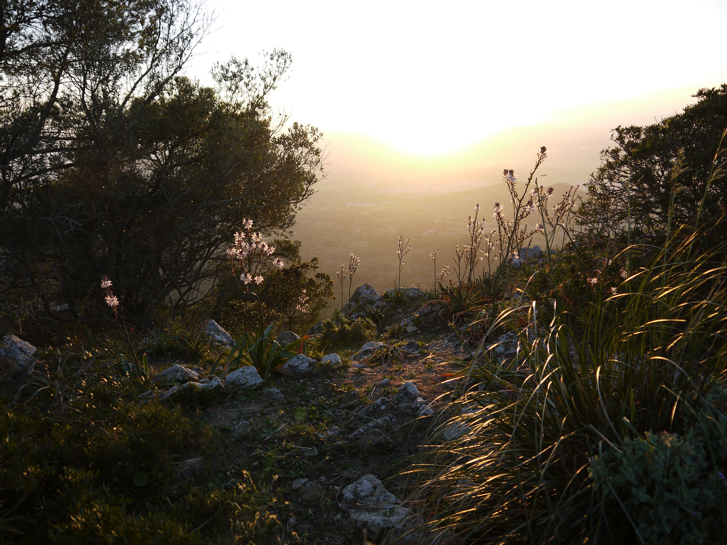 Abendstimmung am kloster San Salvador