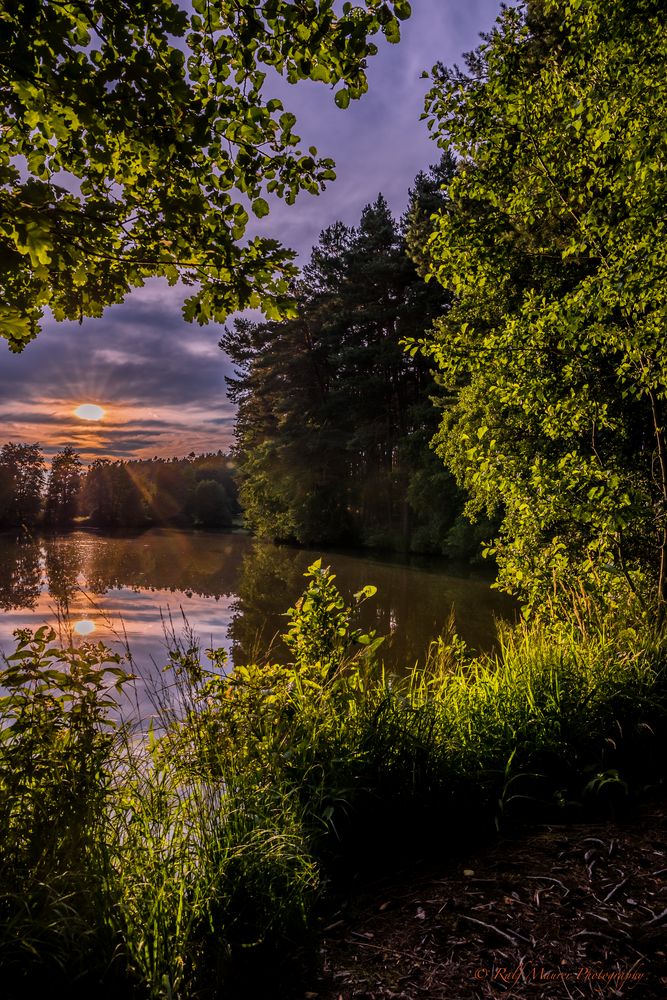 Abendstimmung am Krummweiher