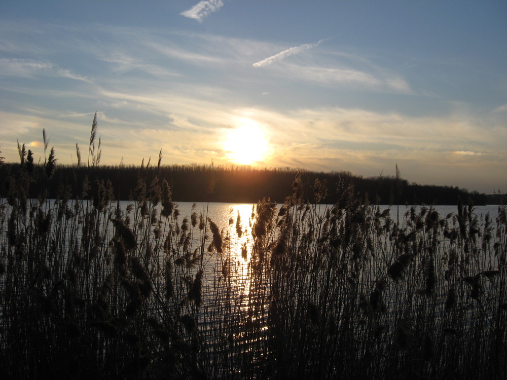 Abendstimmung am Kulkwitzer See