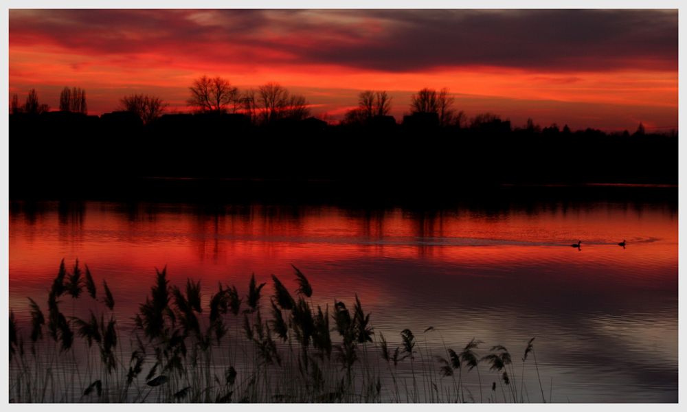 Abendstimmung am Kulkwitzer See II