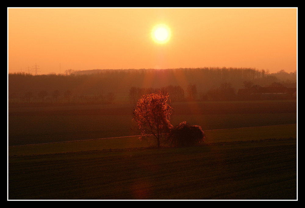 Abendstimmung am Kurricker Berg *