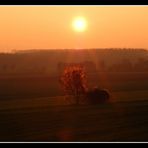 Abendstimmung am Kurricker Berg *