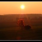 Abendstimmung am Kurricker Berg *