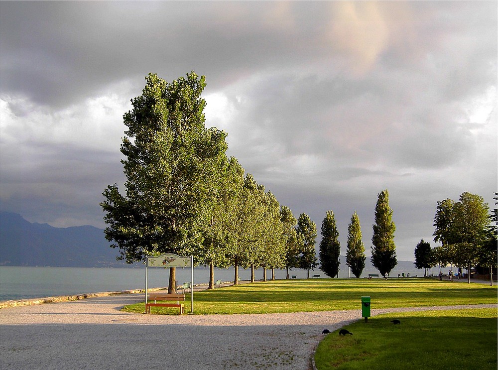 Abendstimmung am Lac Leman 2