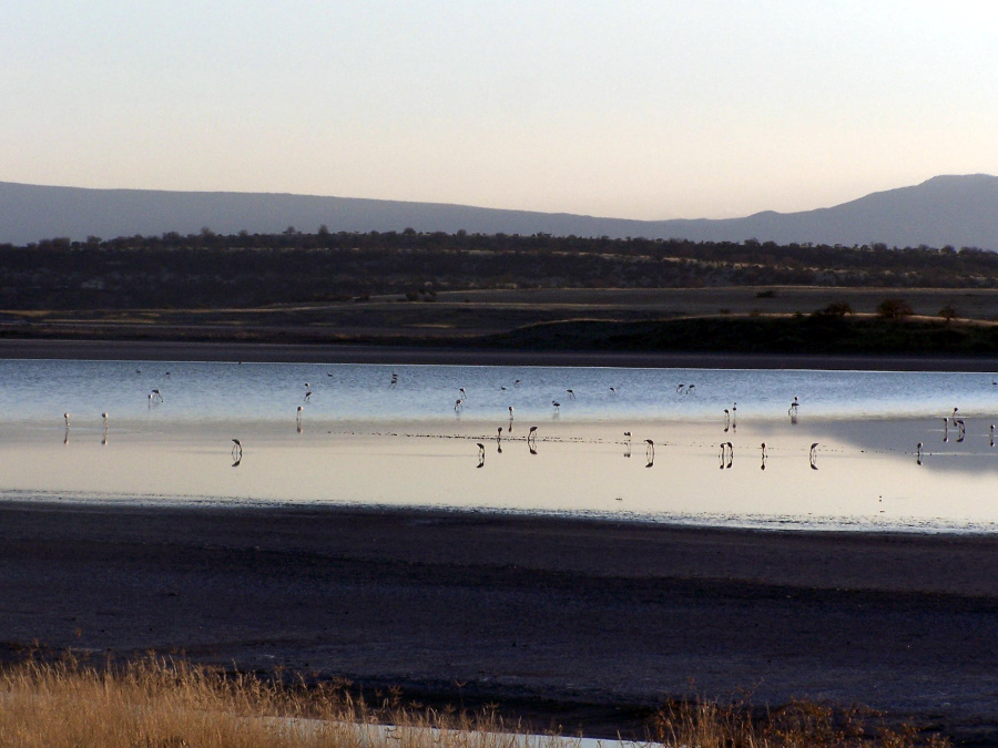 Abendstimmung am Lake Magadi