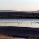 Abendstimmung am Lake Magadi