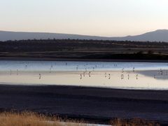 Abendstimmung am Lake Magadi