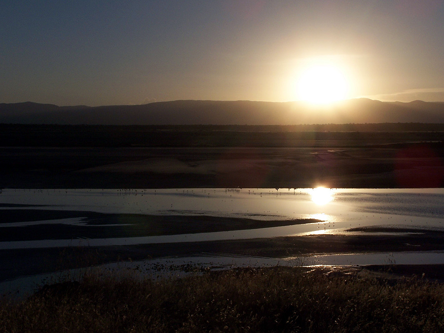 Abendstimmung am Lake Magadi II