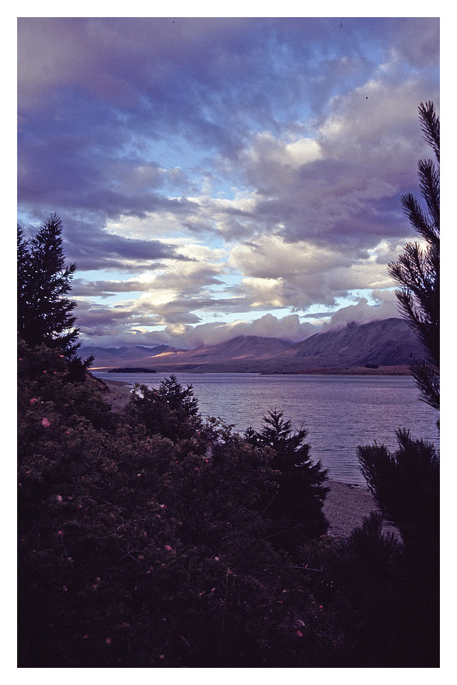 Abendstimmung am Lake Tekapo