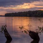 Abendstimmung am Langen See