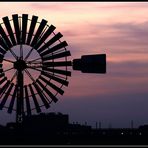 Abendstimmung am LaPaNo