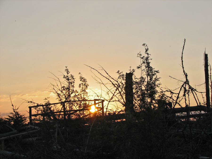 Abendstimmung am Lotharpfad-1