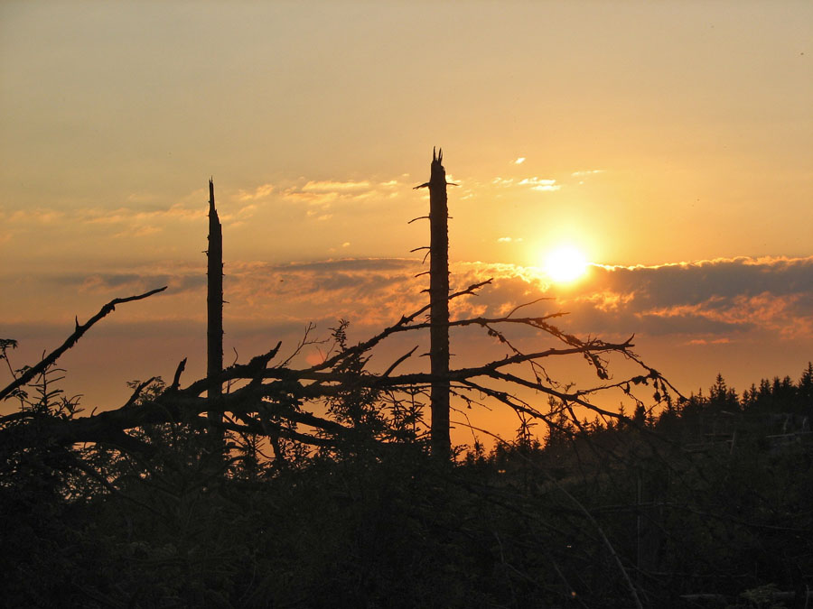 Abendstimmung am Lotharpfad-2