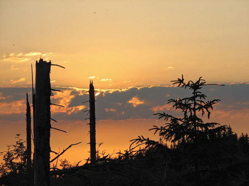 Abendstimmung am Lotharpfad-4