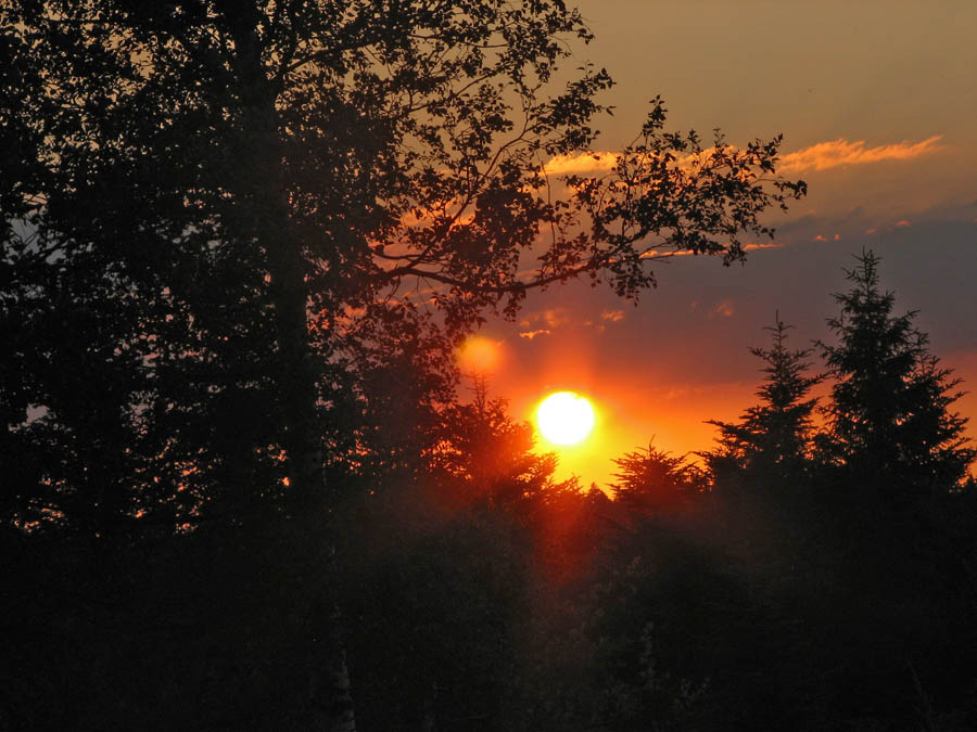 Abendstimmung am Lotharpfad-5