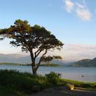 Abendstimmung am Lough Leane / Killarney in Irland