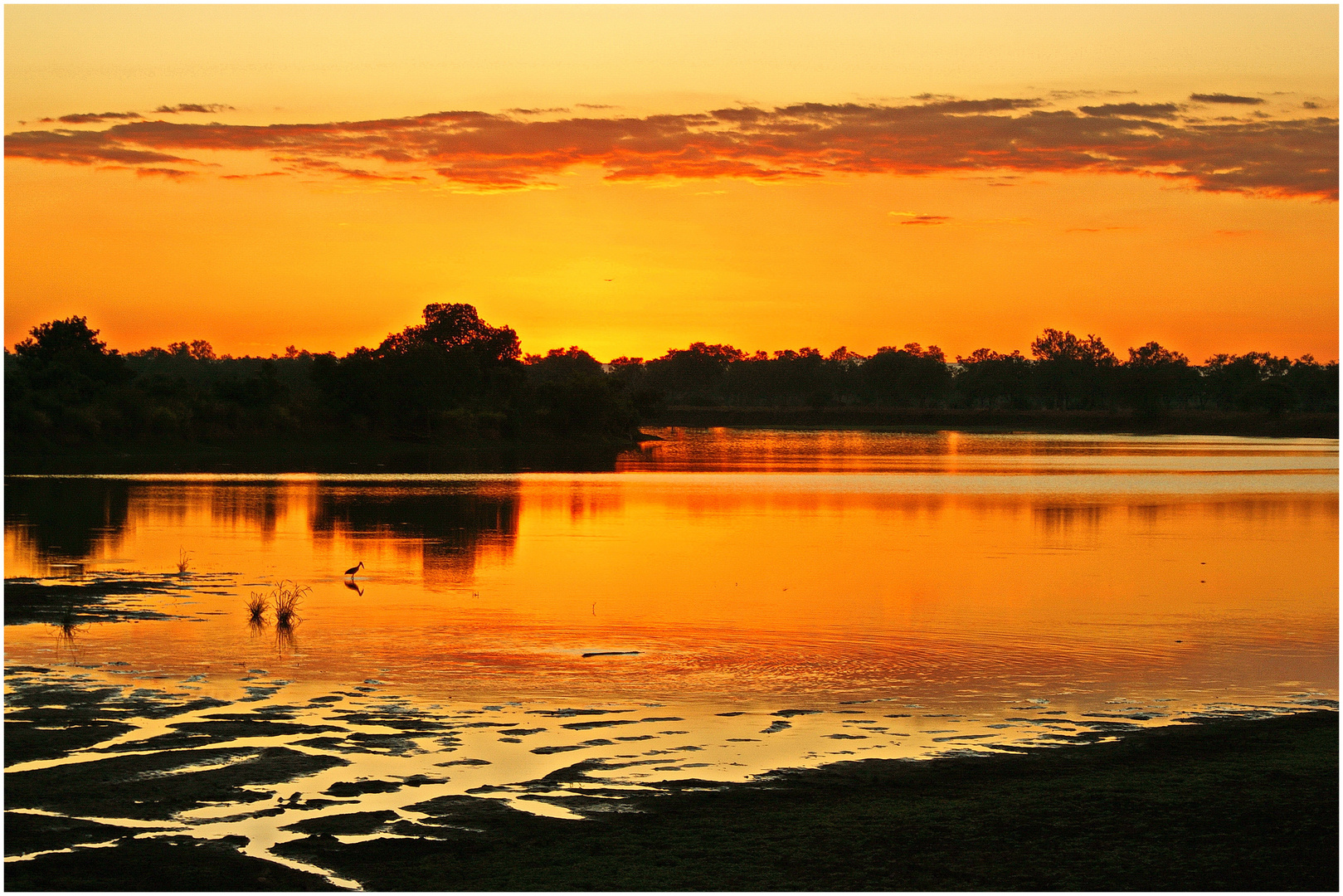 Abendstimmung am Luangwa