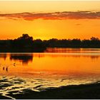 Abendstimmung am Luangwa