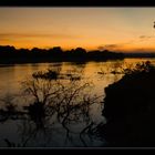 Abendstimmung am Luangwa River/Zambia