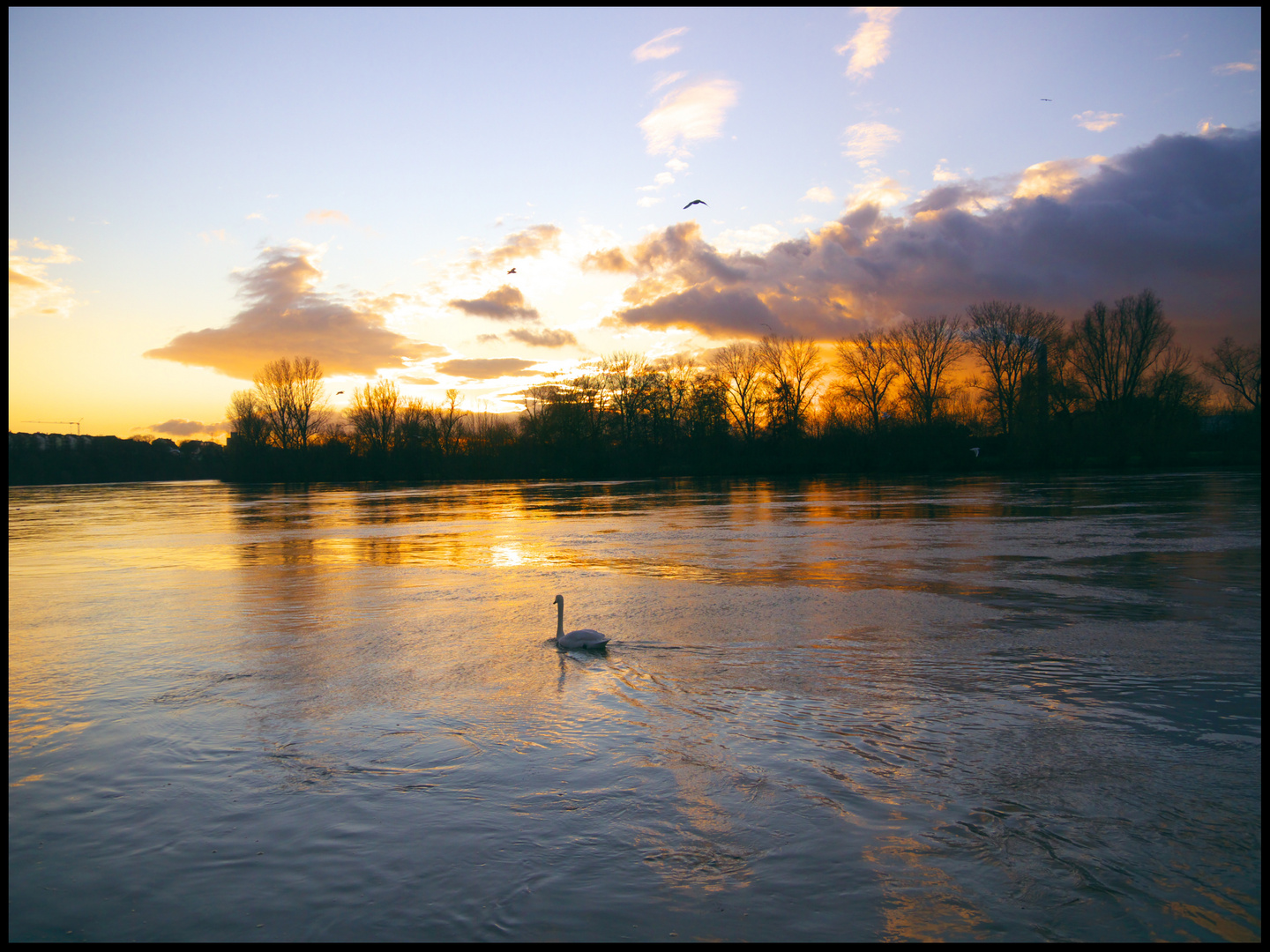 Abendstimmung am Main