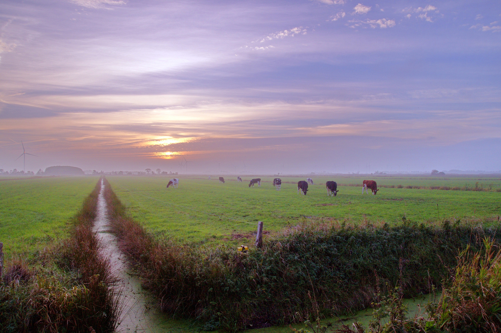 Abendstimmung am Marschrand