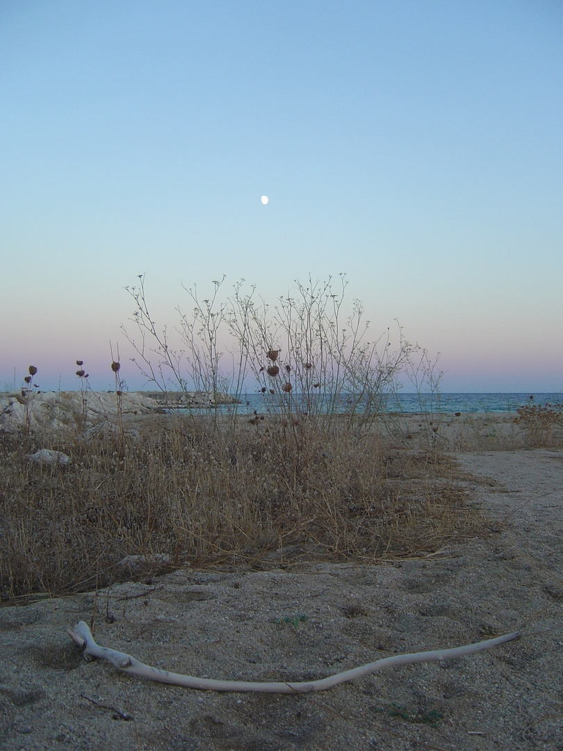 Abendstimmung am Meer