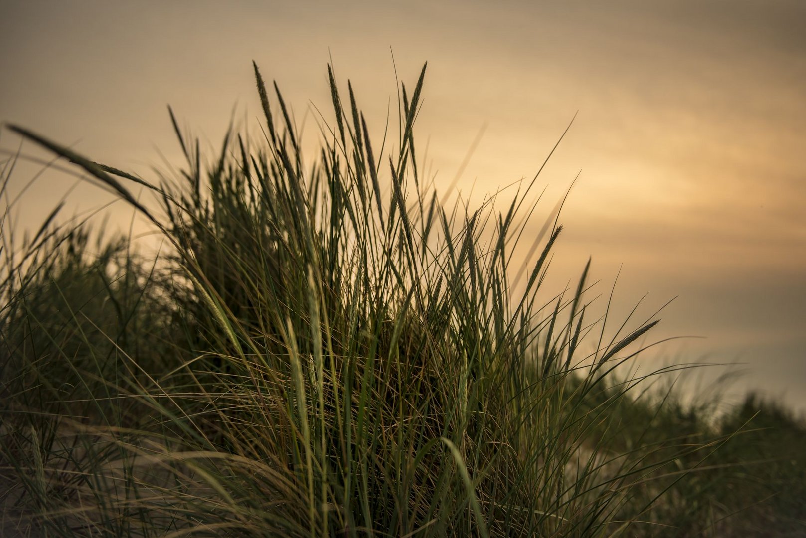 Abendstimmung am Meer 