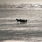 Abendstimmung am Meer