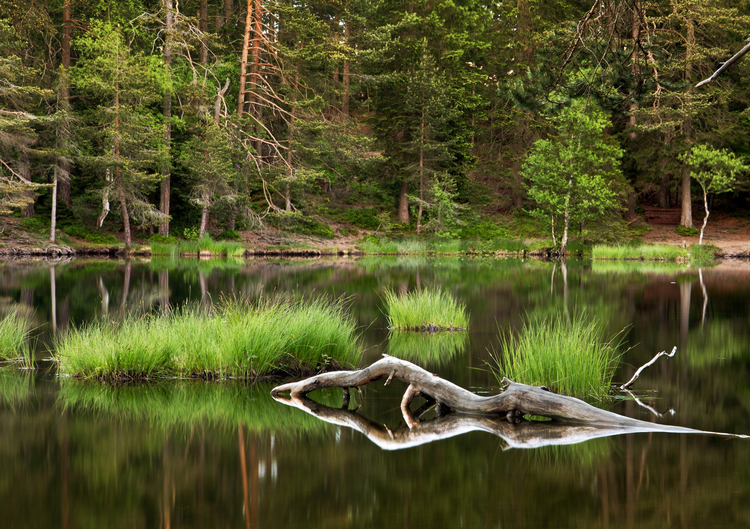 abendstimmung am möserer see