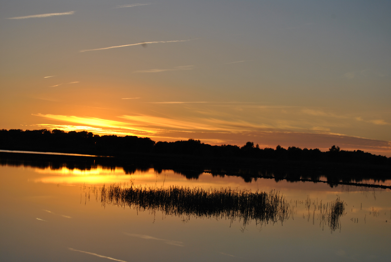 abendstimmung am moor