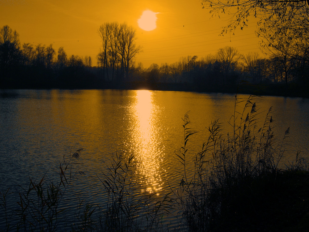 Abendstimmung am Moorsee