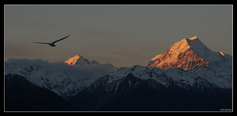 Abendstimmung am Mt. Cook