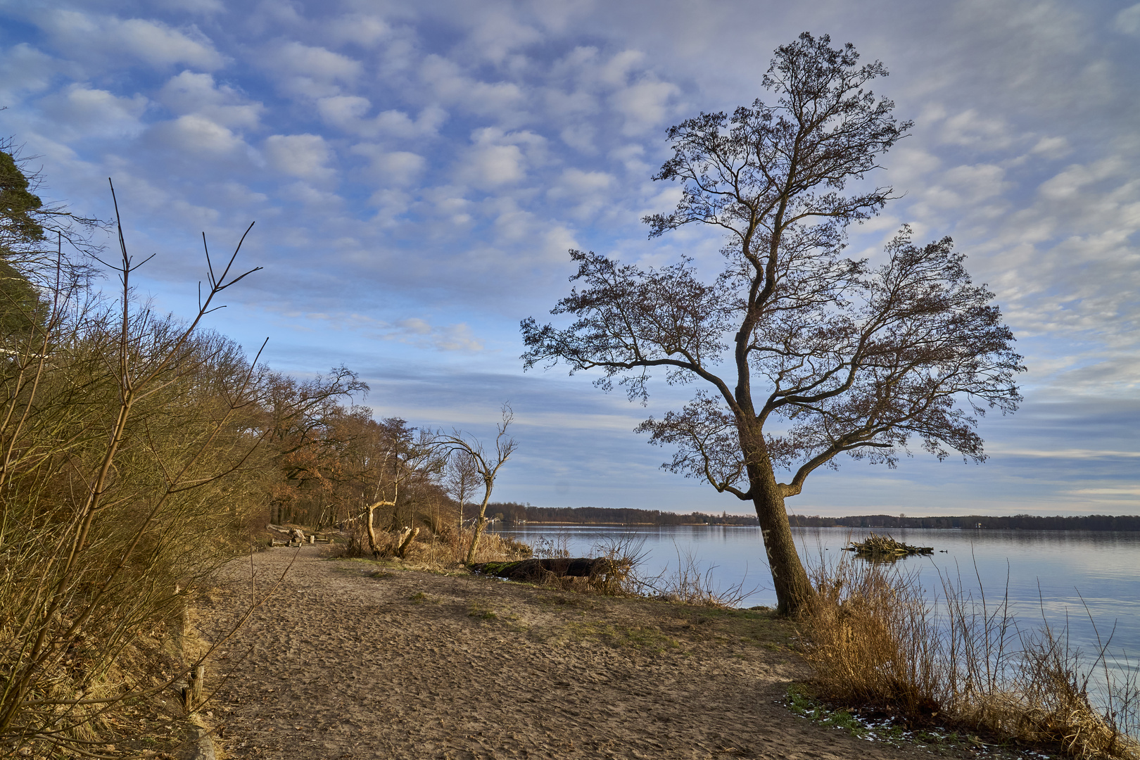 Abendstimmung am Müggelsee